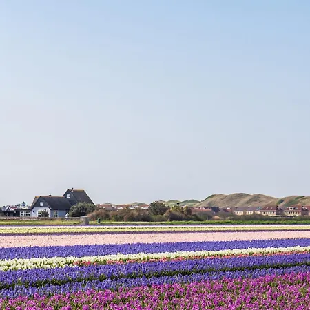 Luttikduin Nr 22 - Aan Zee * Callantsoog