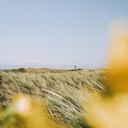 Luttikduin Nr 22 - Aan Zee Chalet Callantsoog